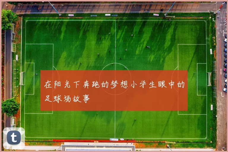 在阳光下奔跑的梦想小学生眼中的足球场故事